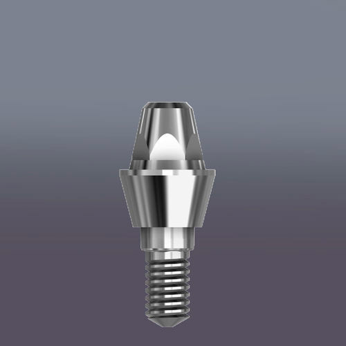 Abutment